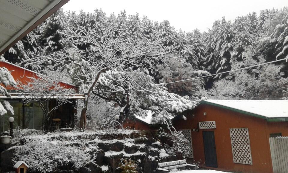 Bluesky Pension Pocheon Eksteriør bilde